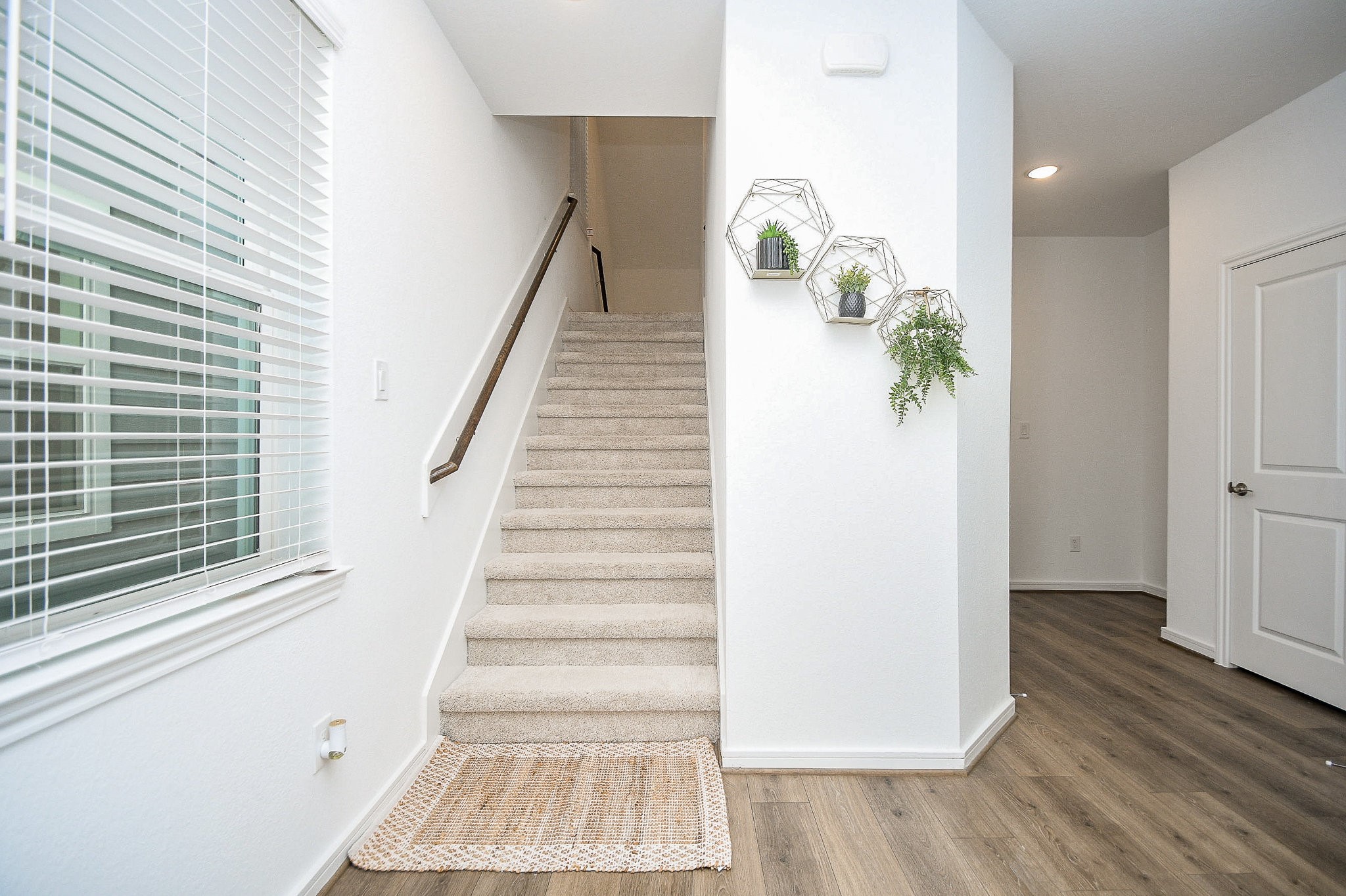 2204 Via Laura Property Photo 13