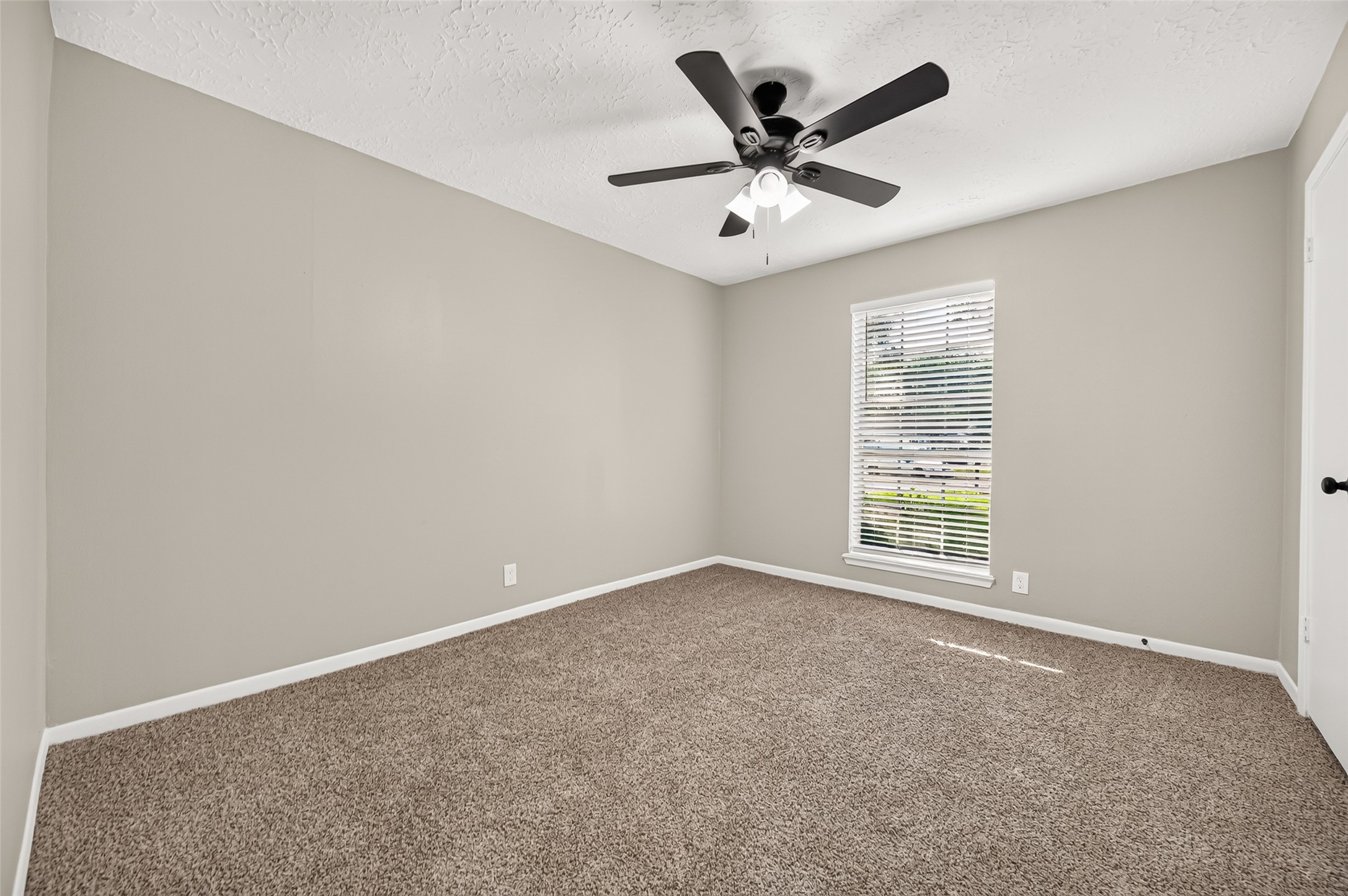 23802 Spring Towne Drive Property Photo 22