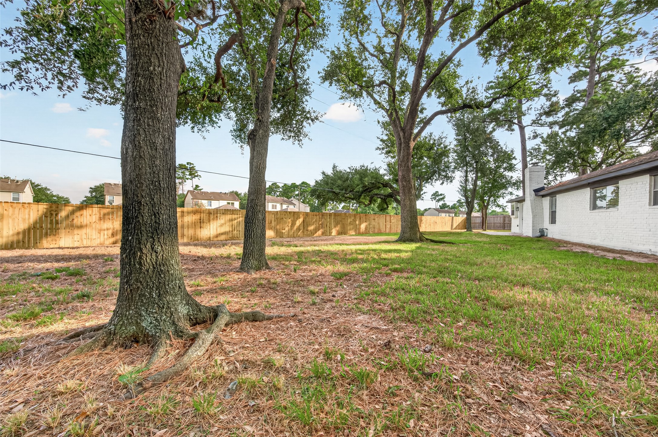 23802 Spring Towne Drive Property Photo 38