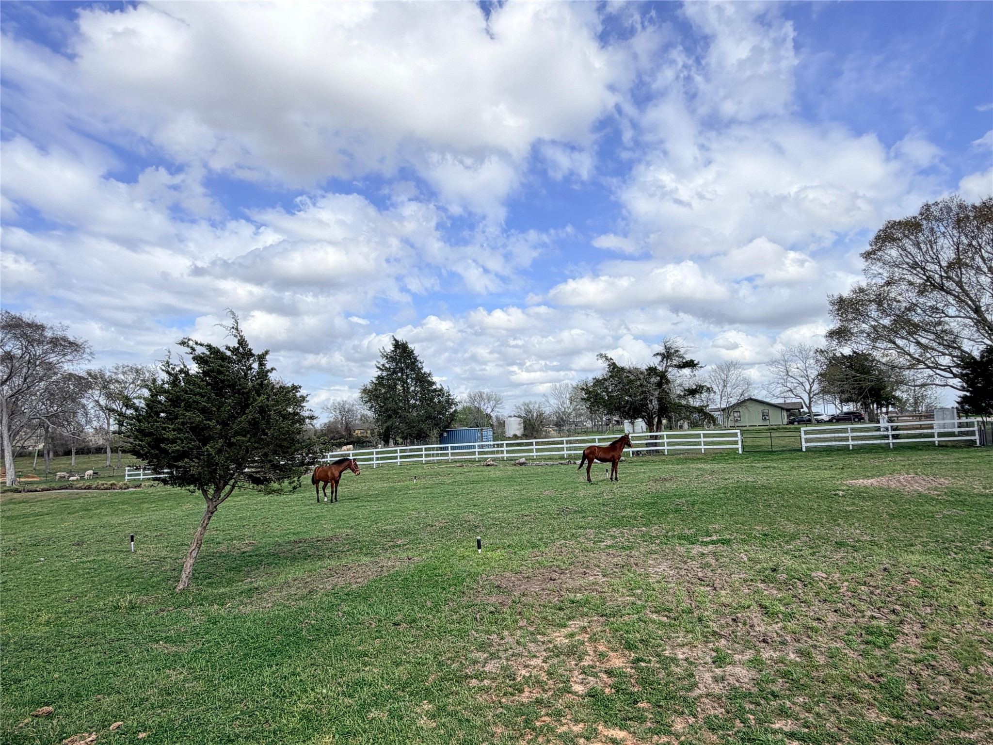 13700 Burnett Road Property Photo 13