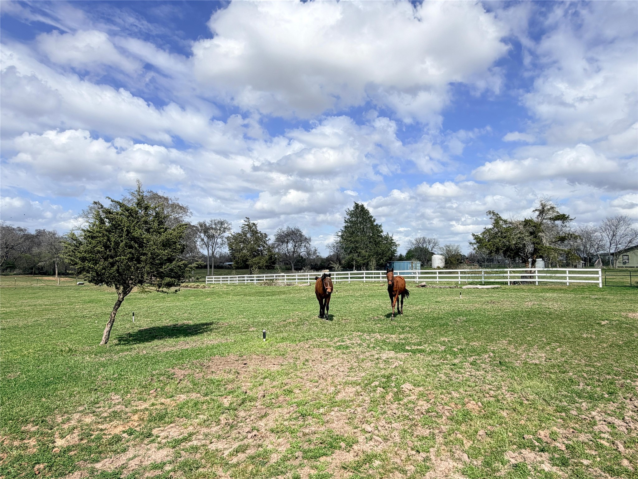 13700 Burnett Road Property Photo 15