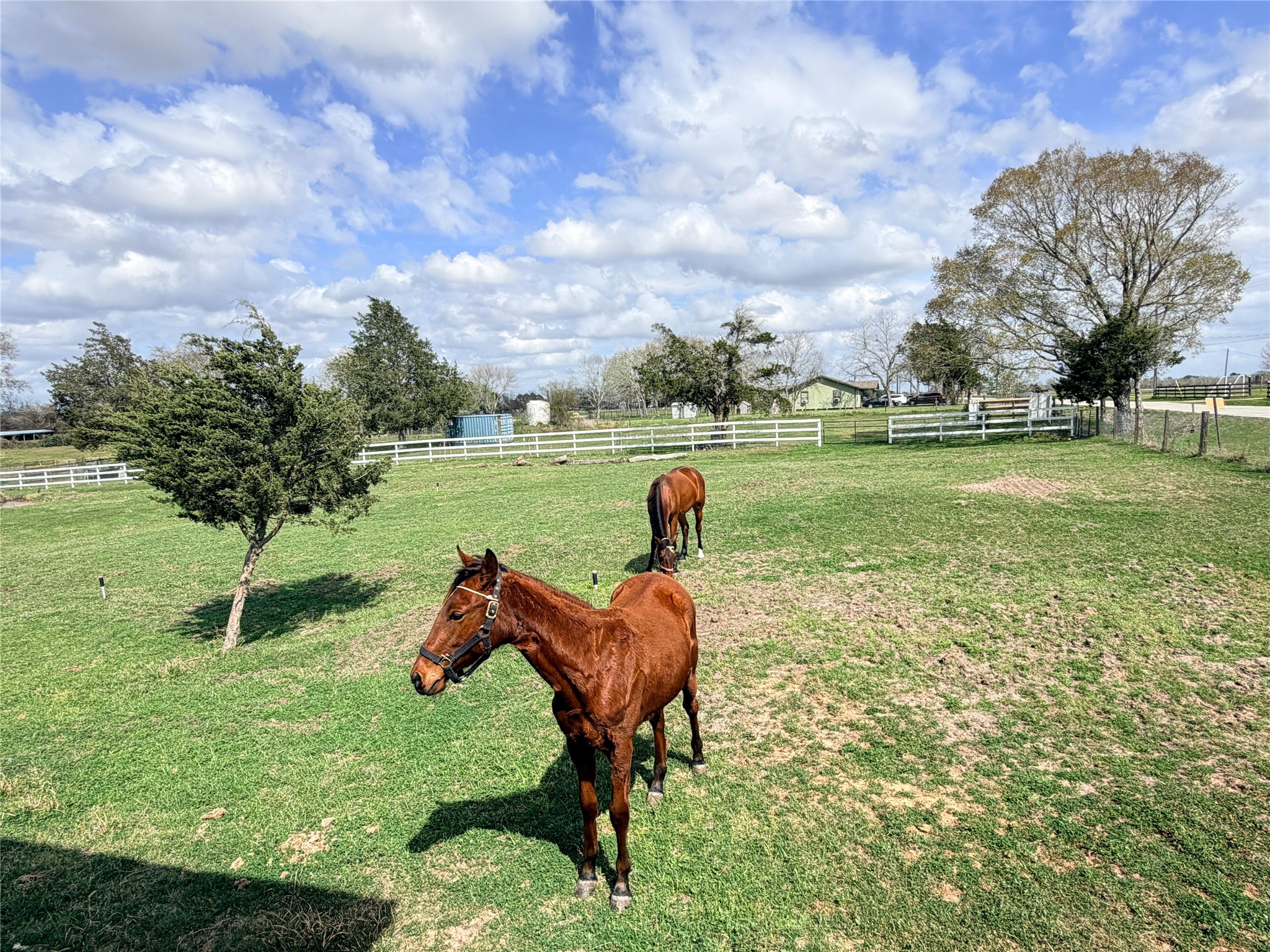 13700 Burnett Road Property Photo 16
