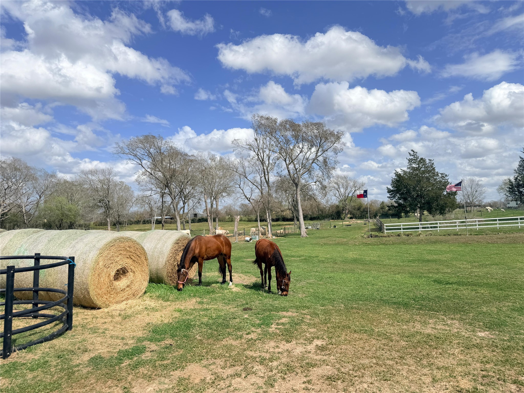 13700 Burnett Road Property Photo 20