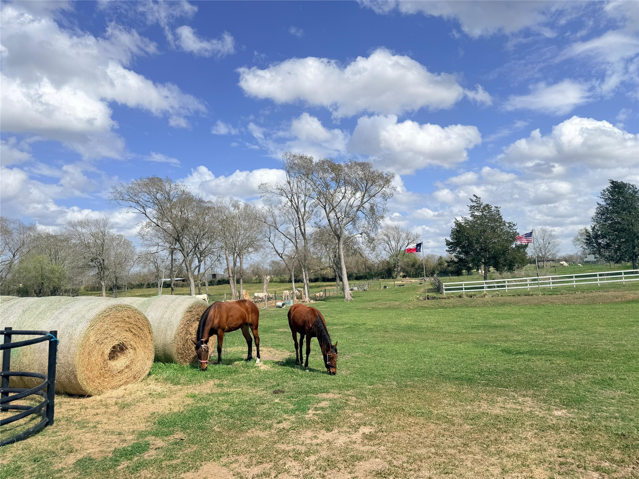 13700 Burnett Road Property Photo 21