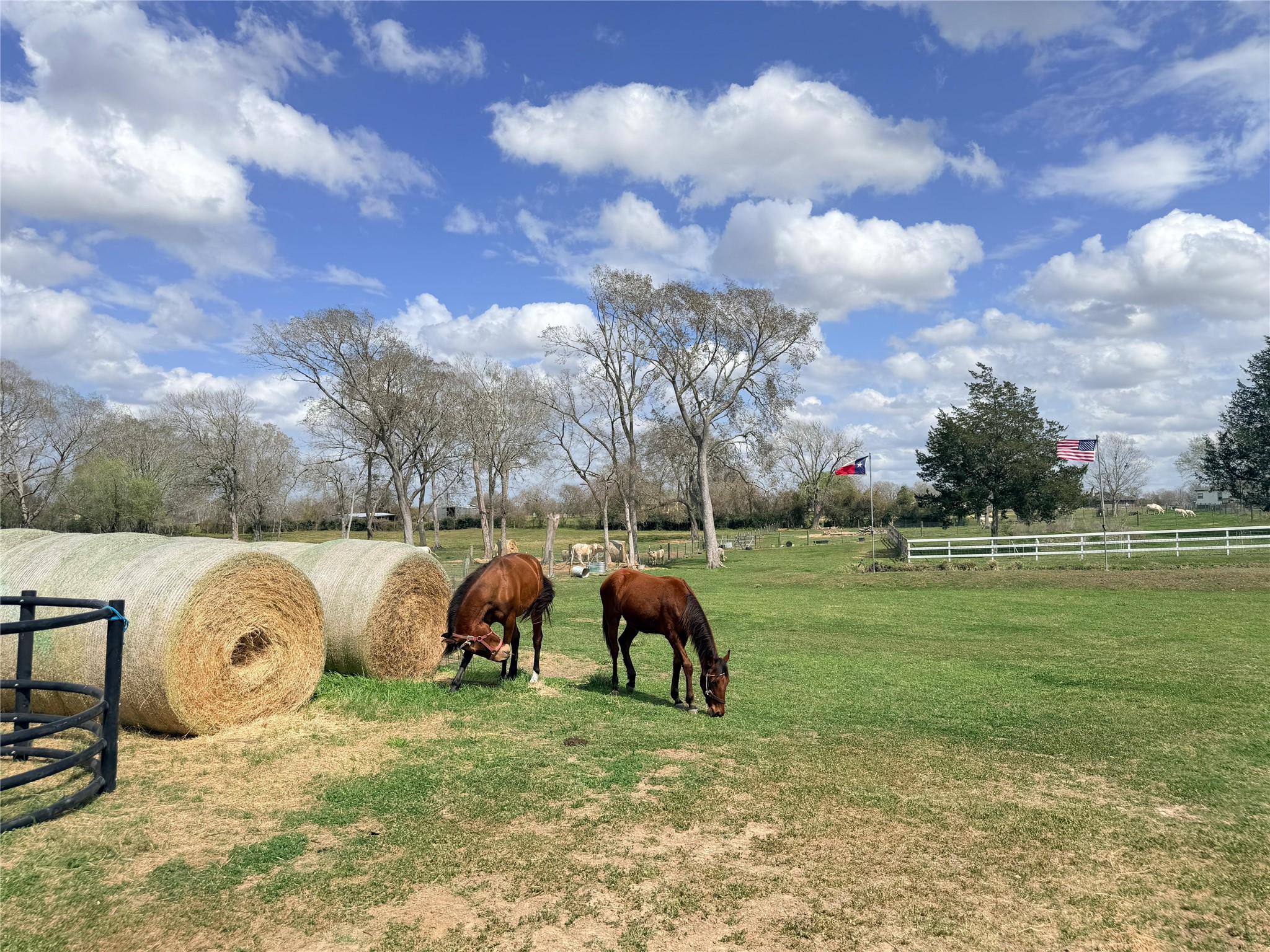 13700 Burnett Road Property Photo 23
