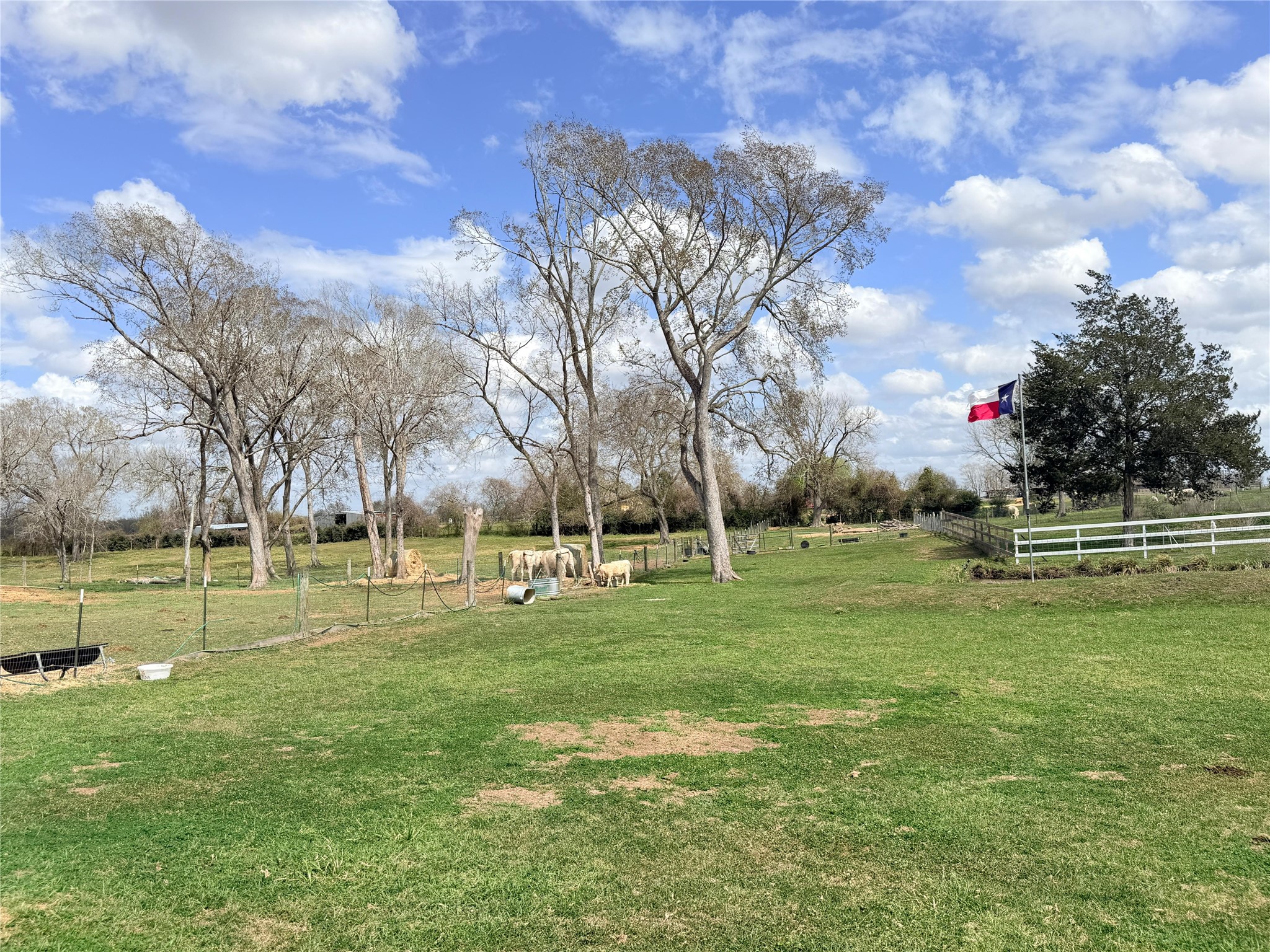 13700 Burnett Road Property Photo 24