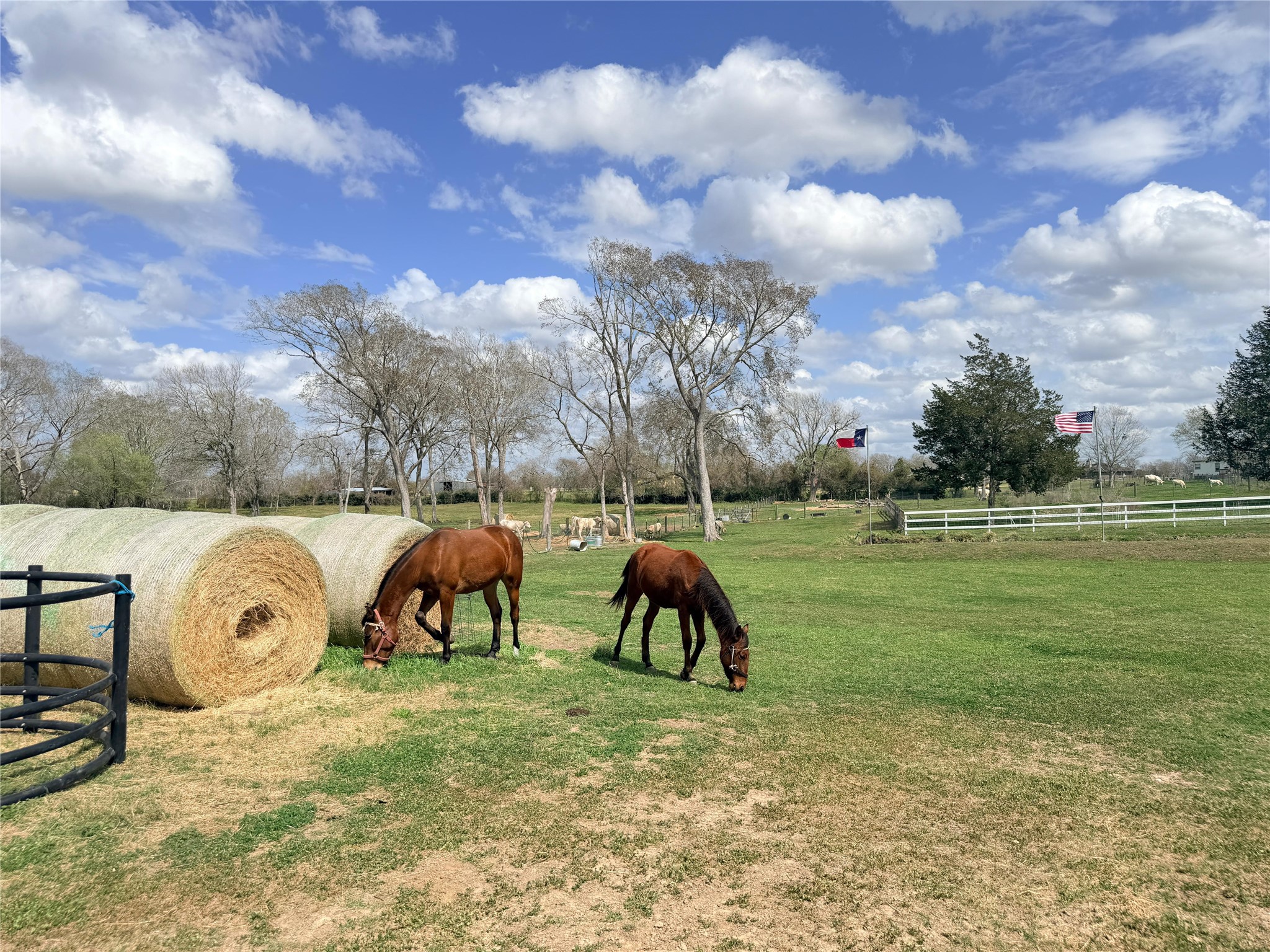 13700 Burnett Road Property Photo 25