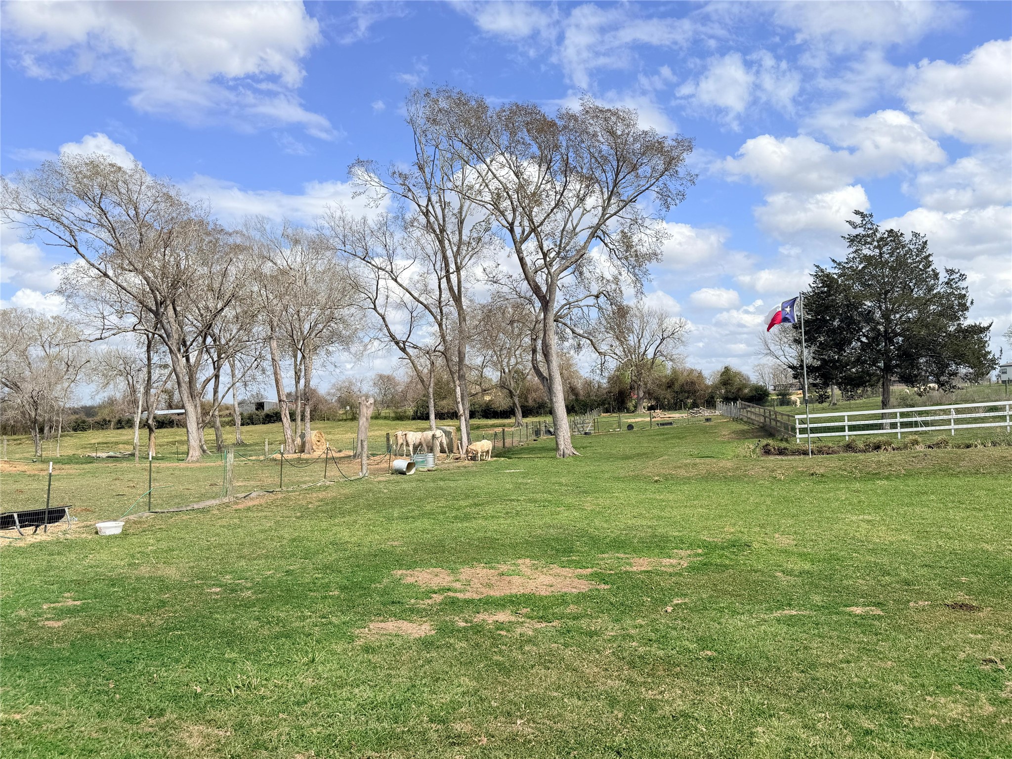 13700 Burnett Road Property Photo 26