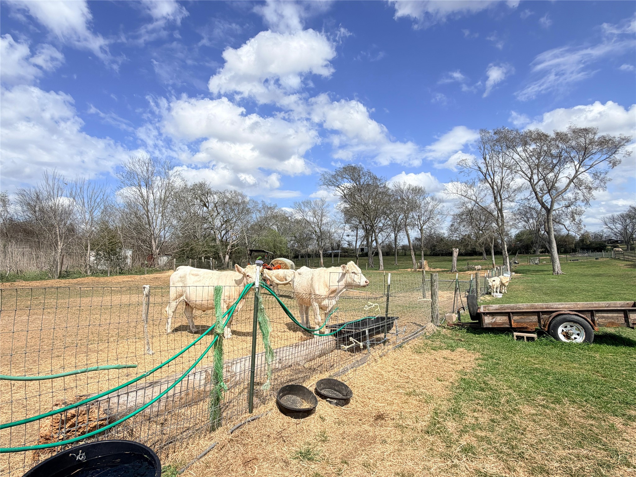 13700 Burnett Road Property Photo 34
