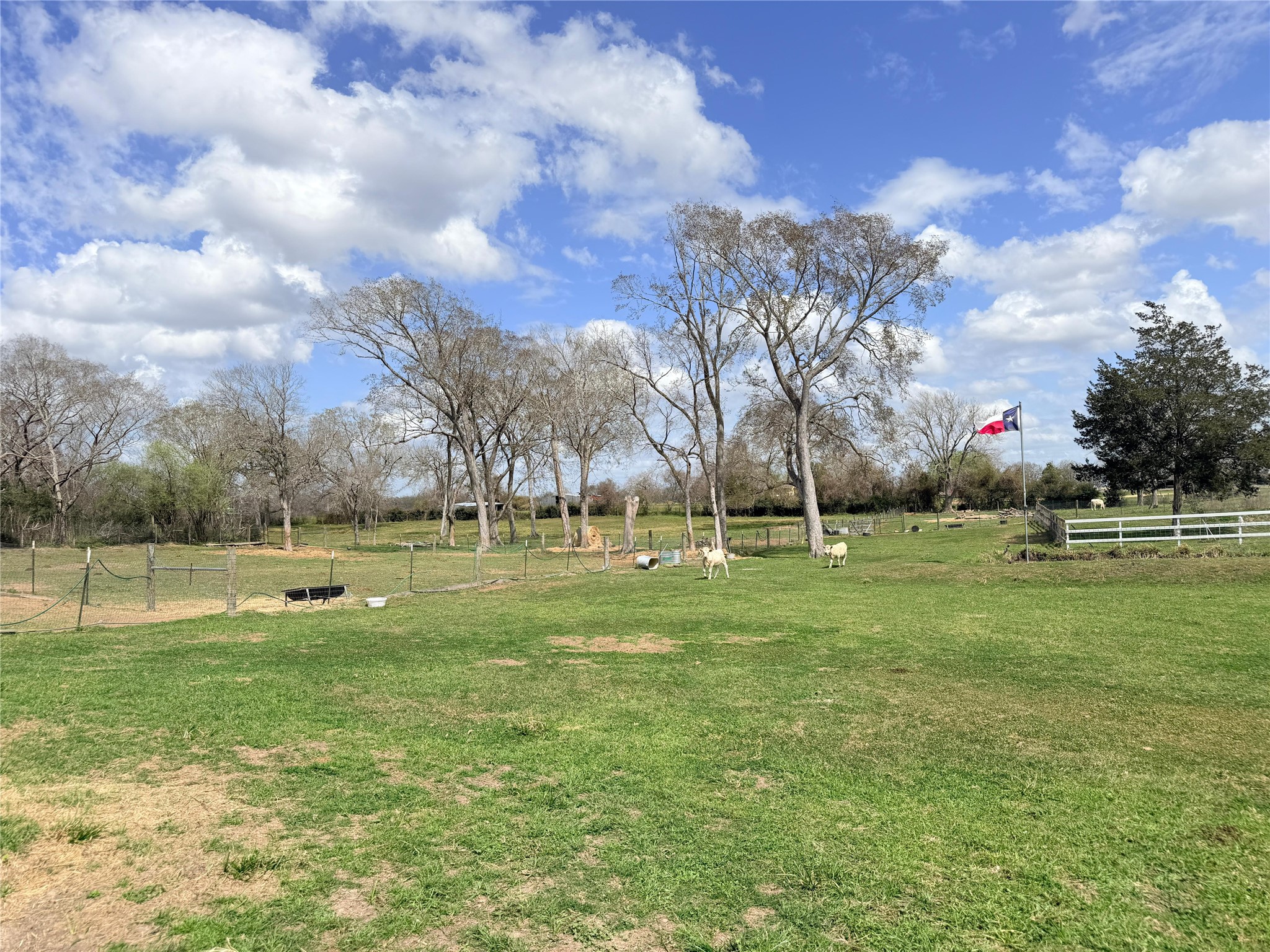 13700 Burnett Road Property Photo 37