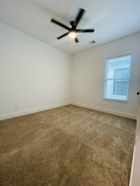 5312 Denmark Street Property Photo 20