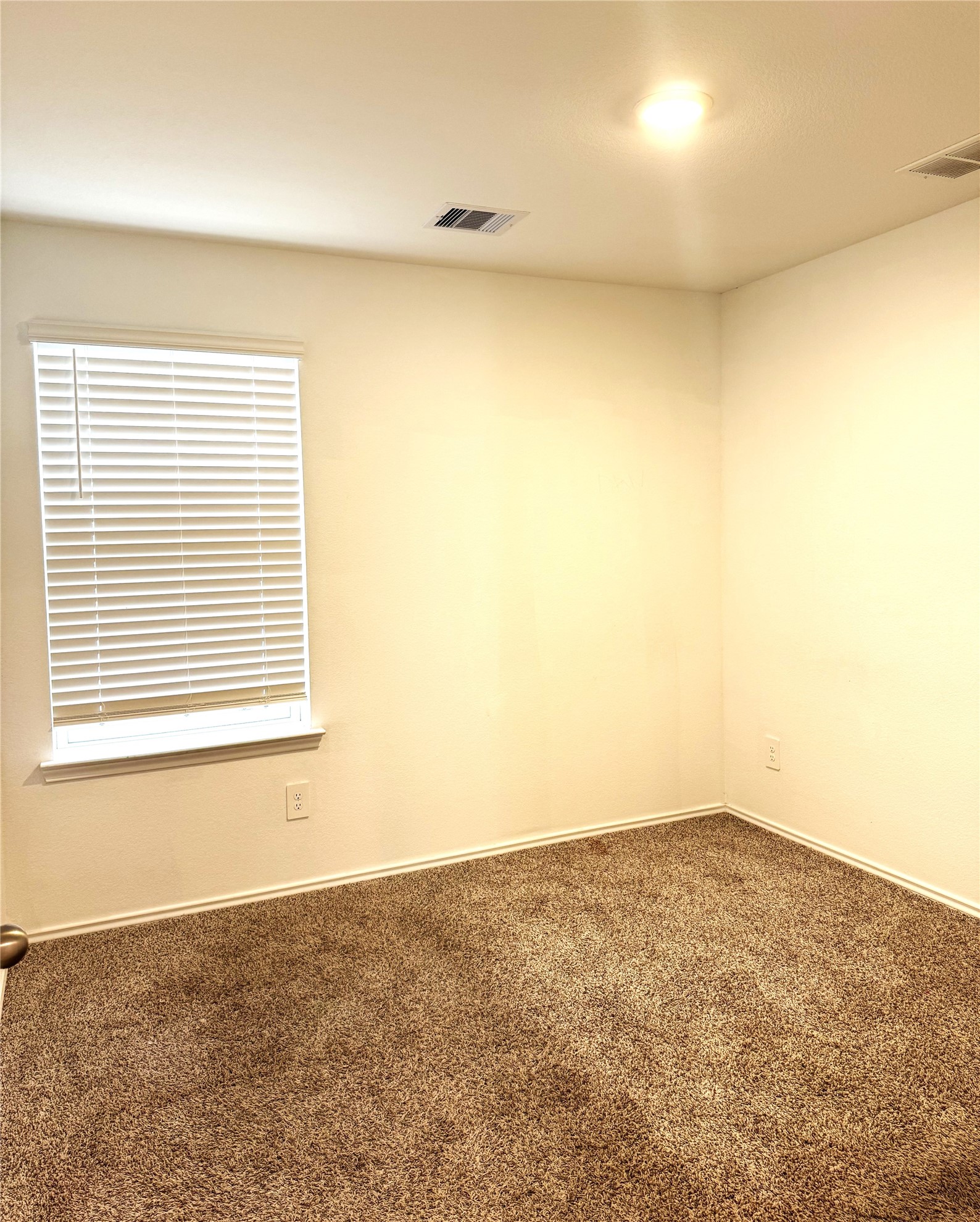 1111 Tempranillo Way Property Photo 14