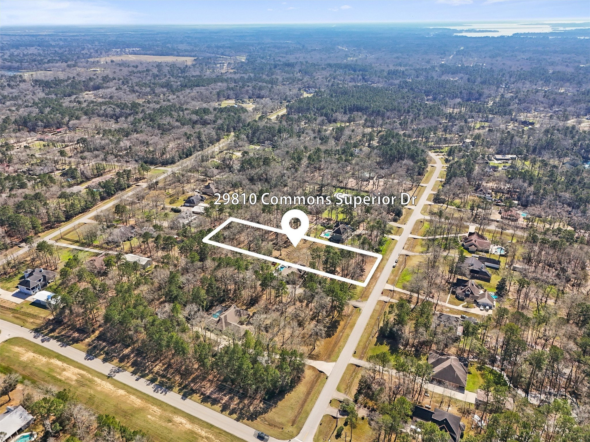 29810 Commons Superior Drive Property Photo 1