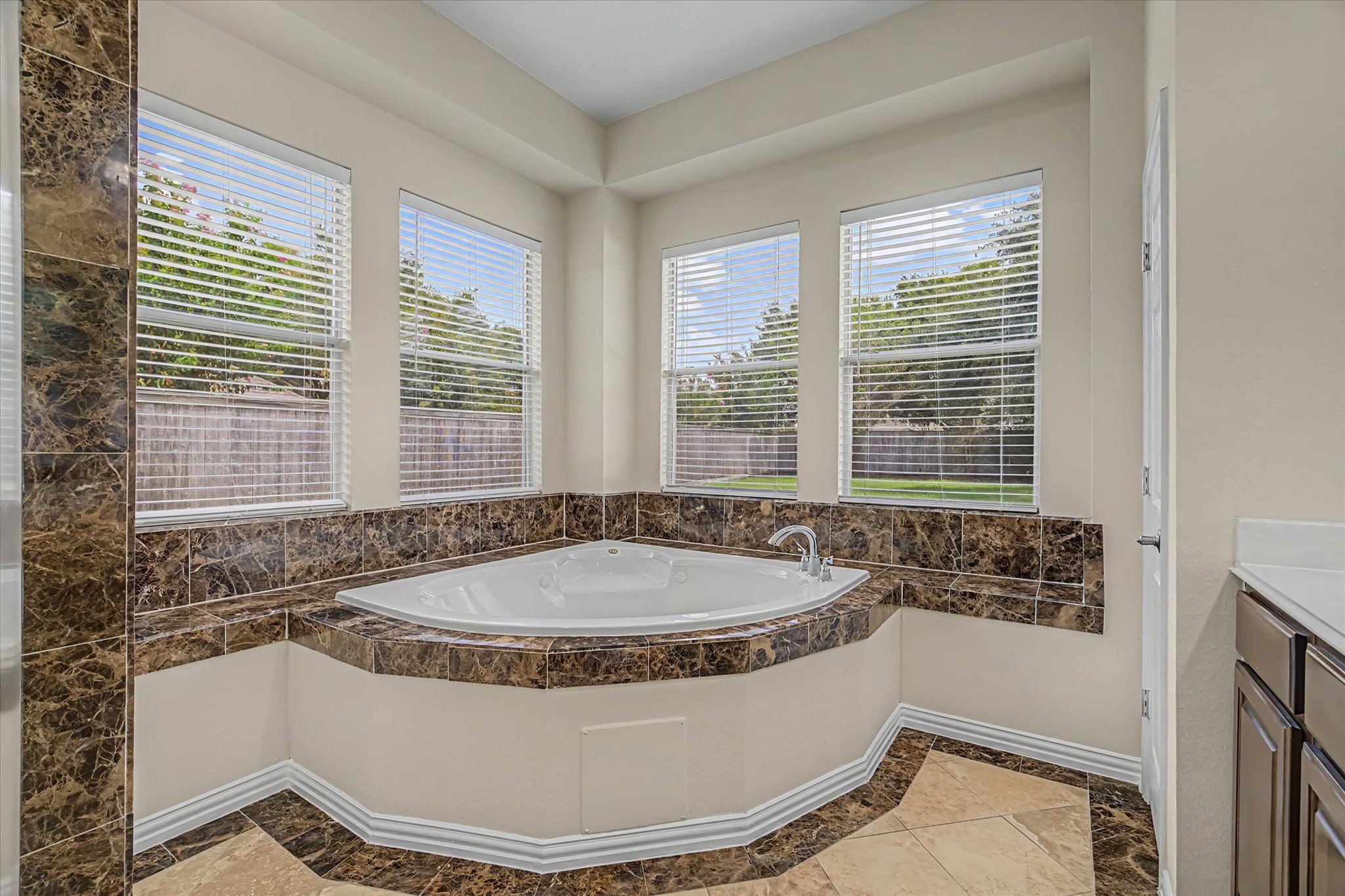 17114 Calico Peak Way Property Photo 28