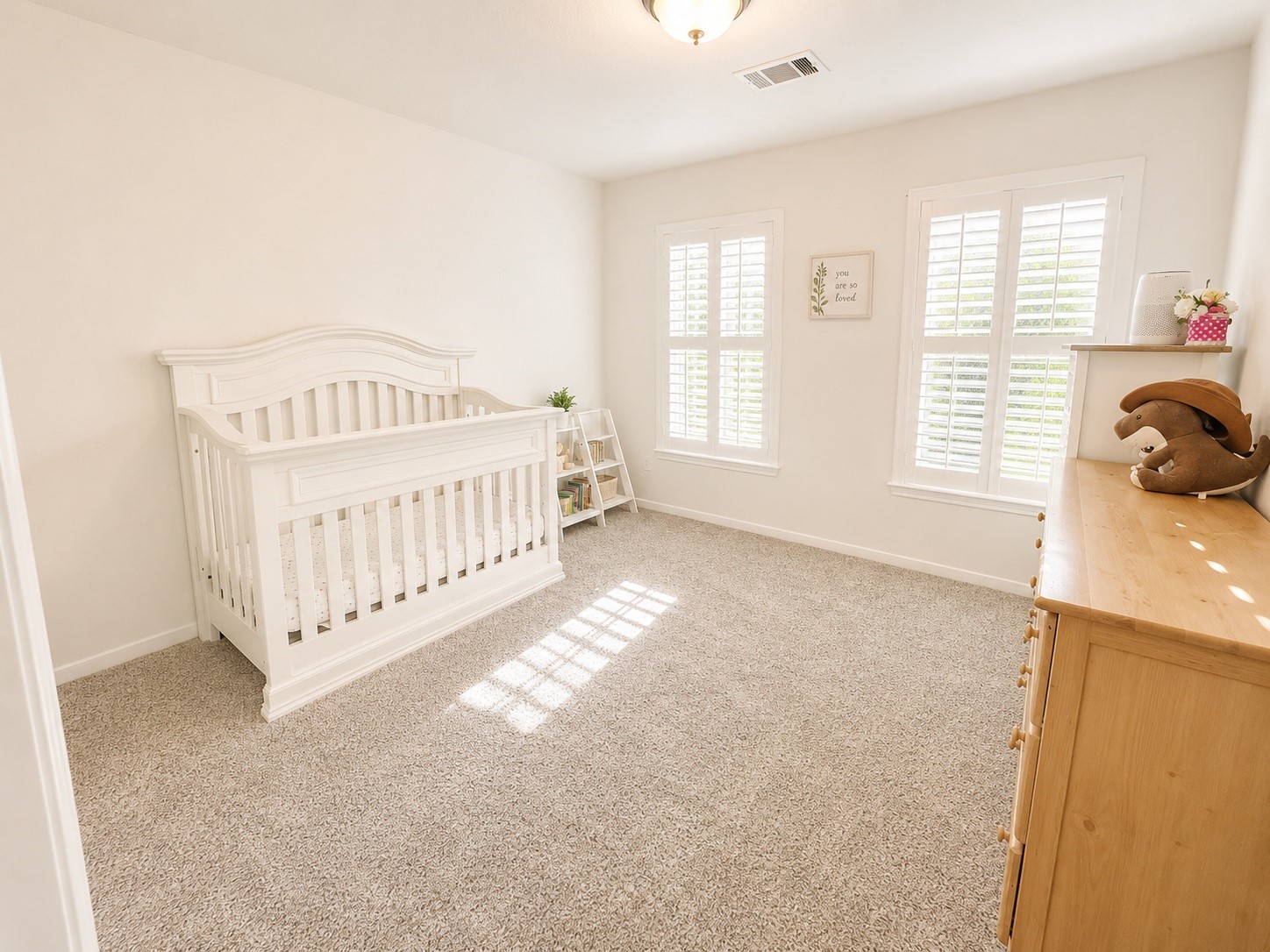 2123 Shadow Park Drive Property Photo 11