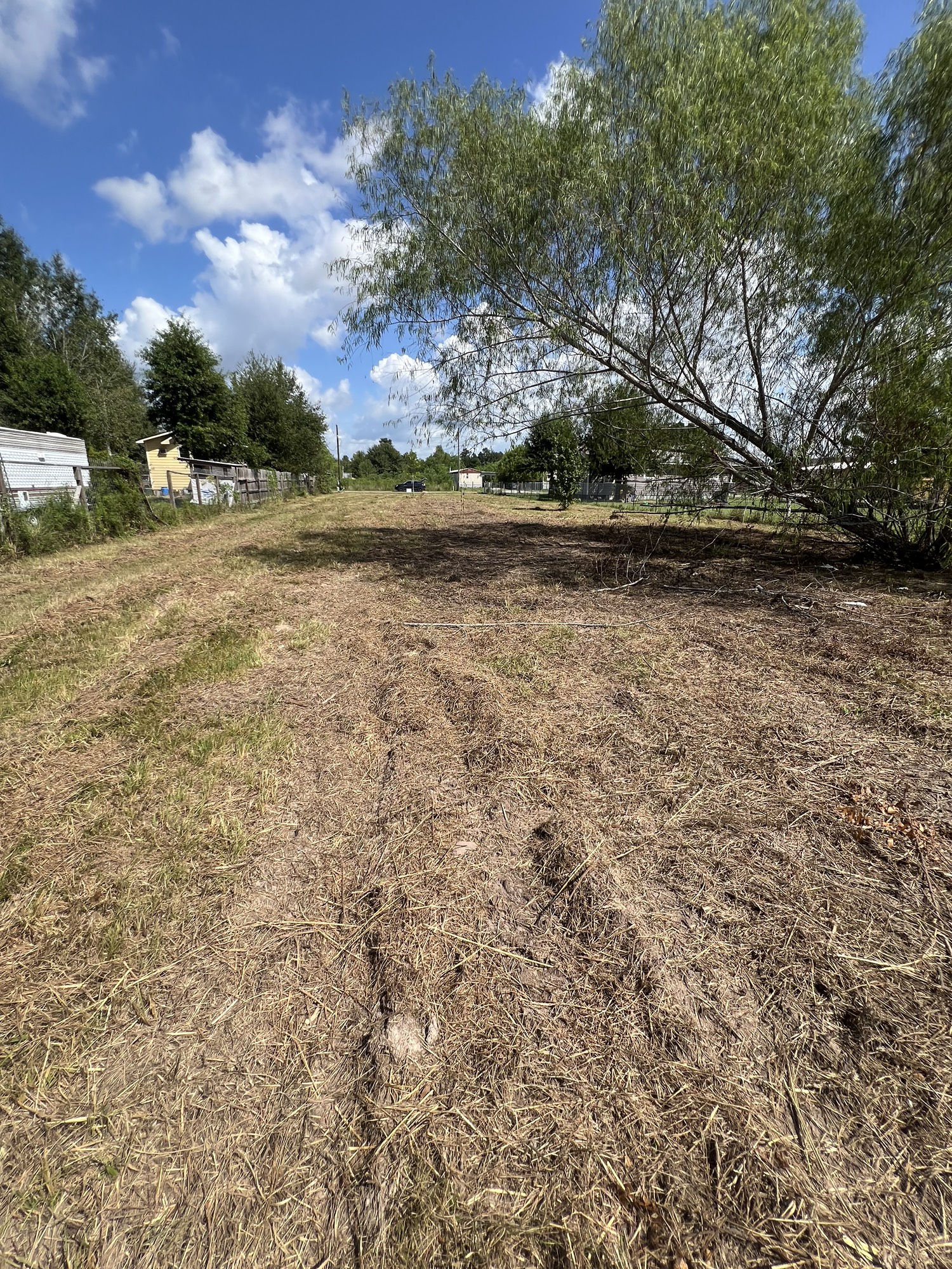 1018 County Road 3556 Property Photo 6
