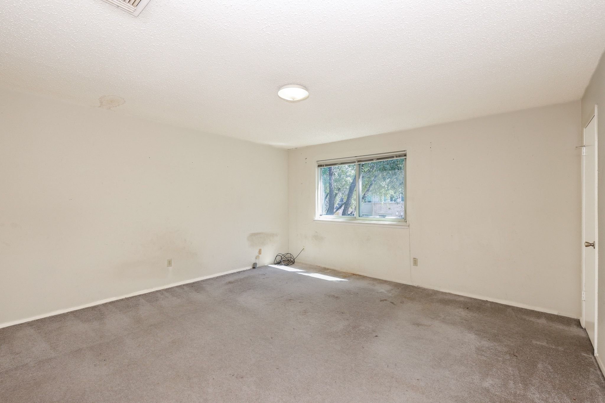 2119 Hazlitt Drive Property Photo 12