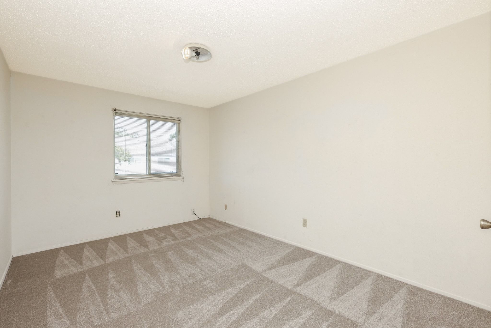 2119 Hazlitt Drive Property Photo 15