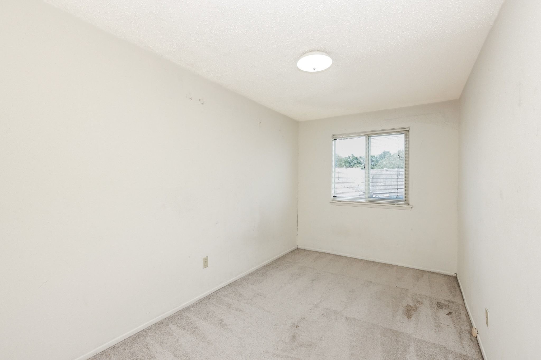 2119 Hazlitt Drive Property Photo 16