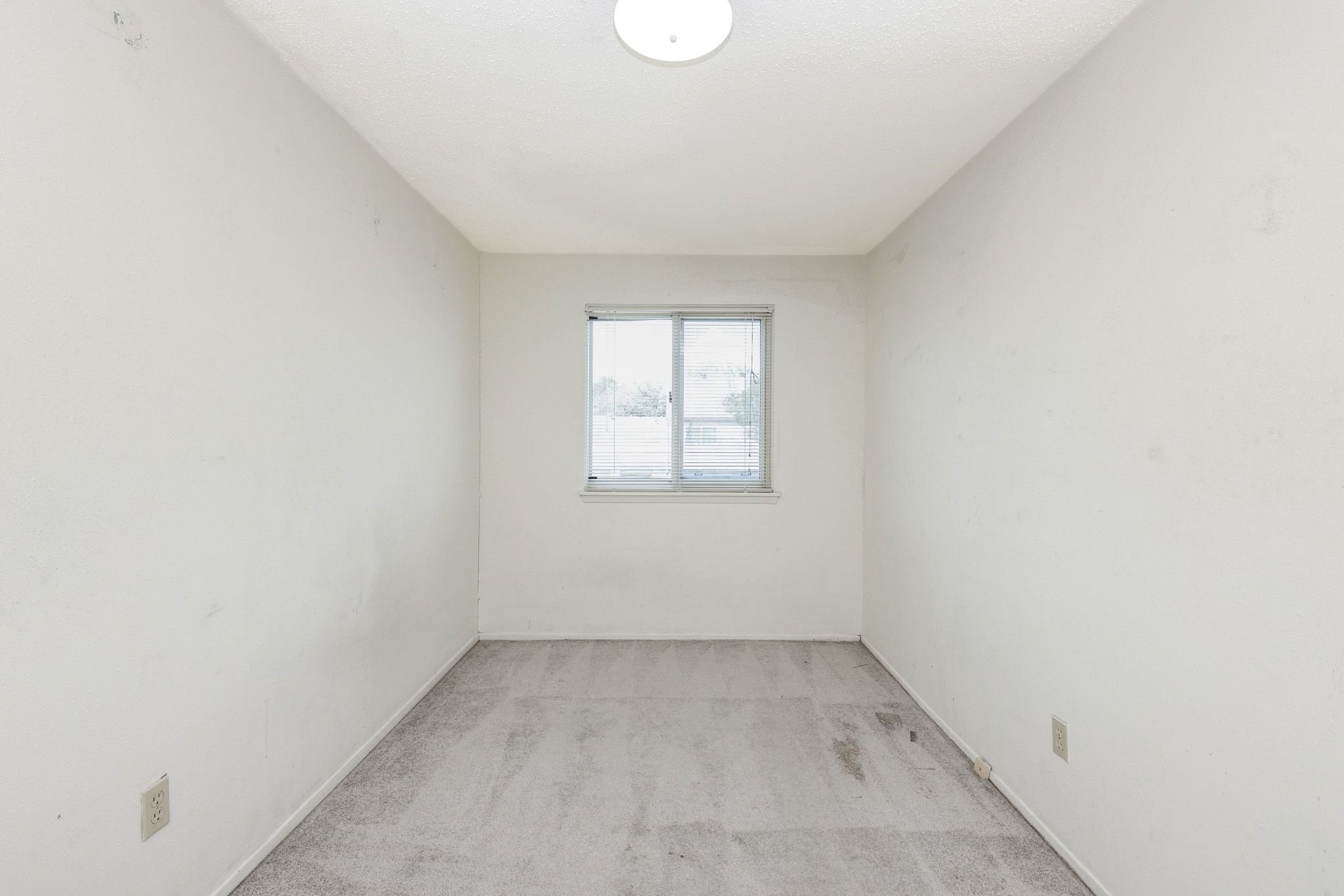 2119 Hazlitt Drive Property Photo 17