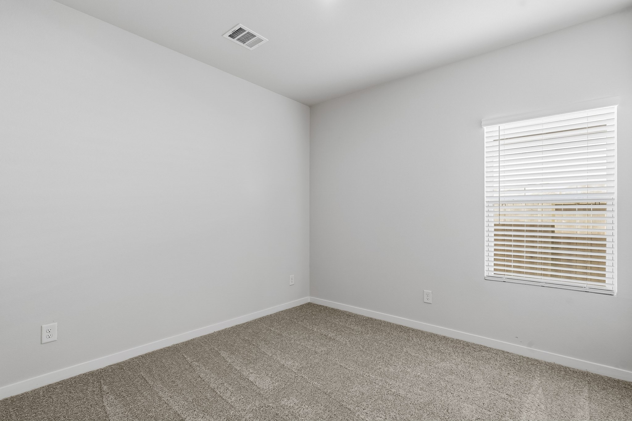 17126 King Eider Road Property Photo 15