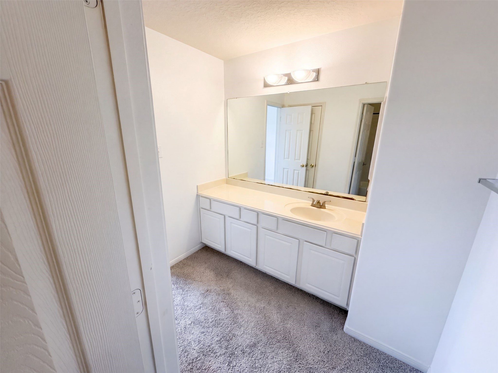 20610 Wren Hollow Way Property Photo 31