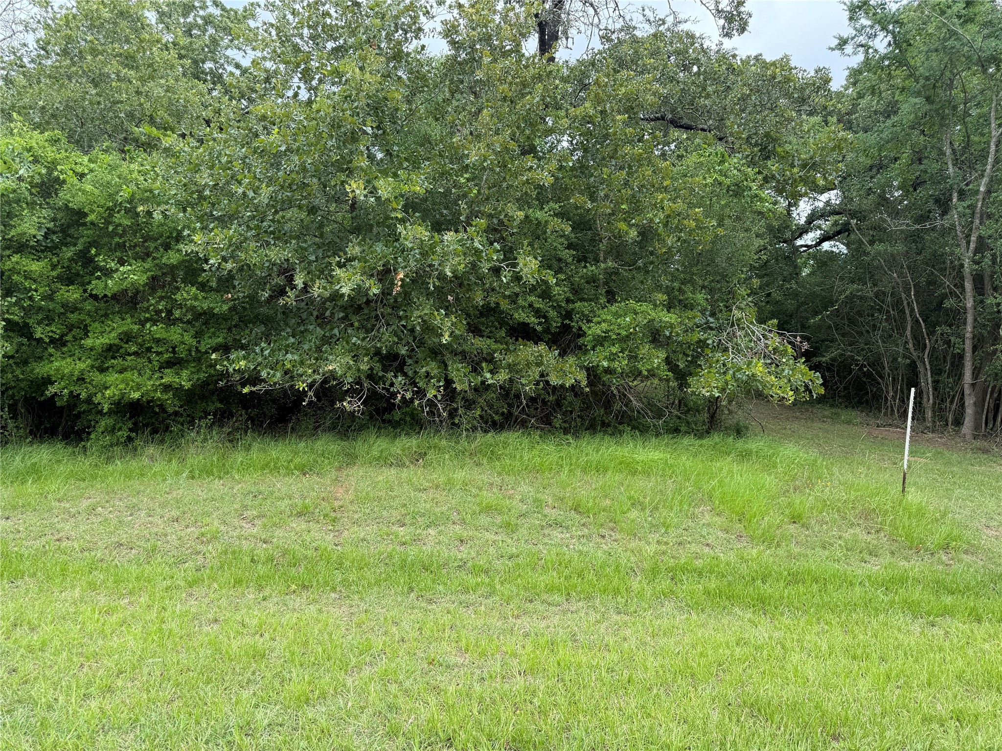 0 Well House Lane Property Photo 1