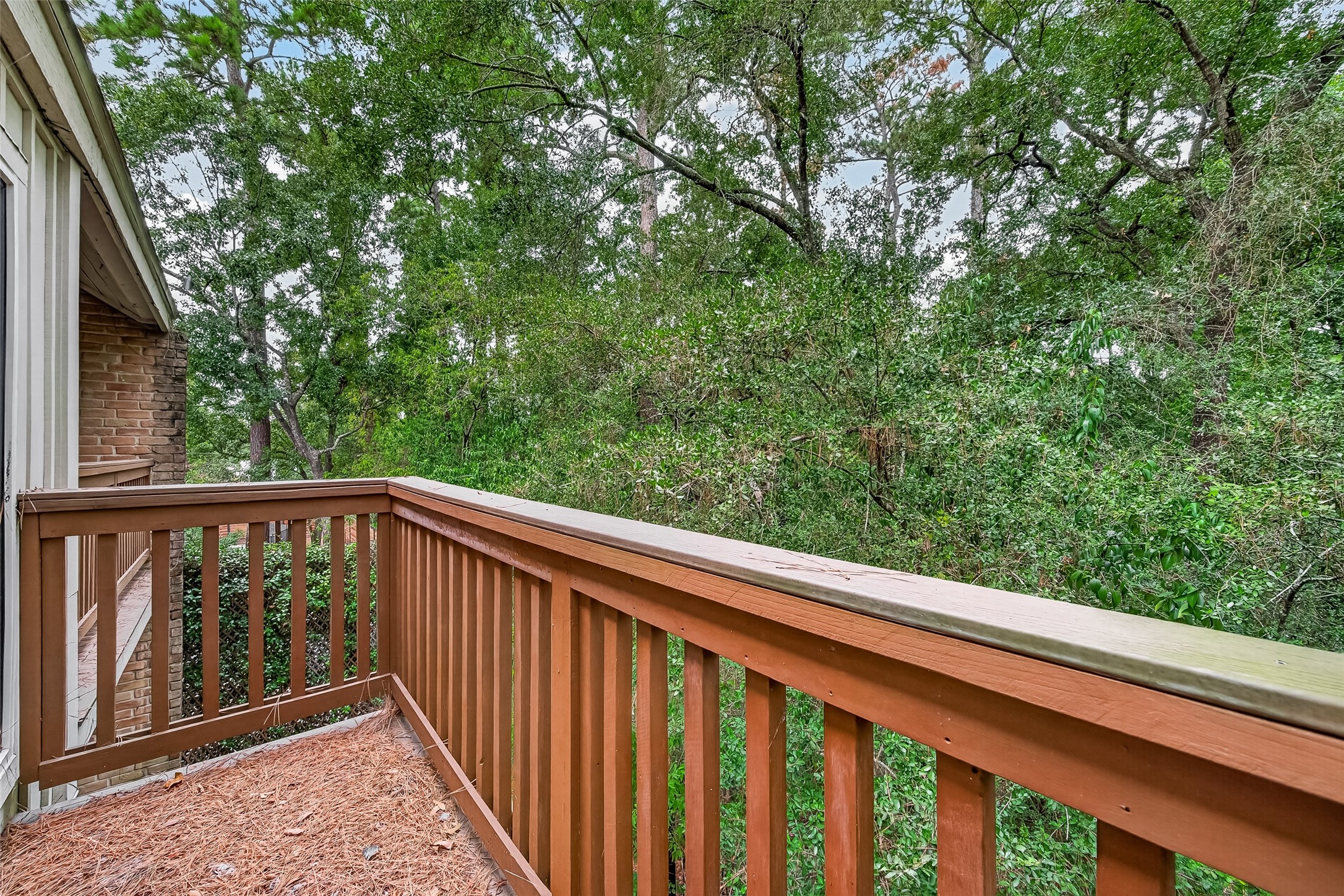 94 Sugarberry Circle Property Photo 48