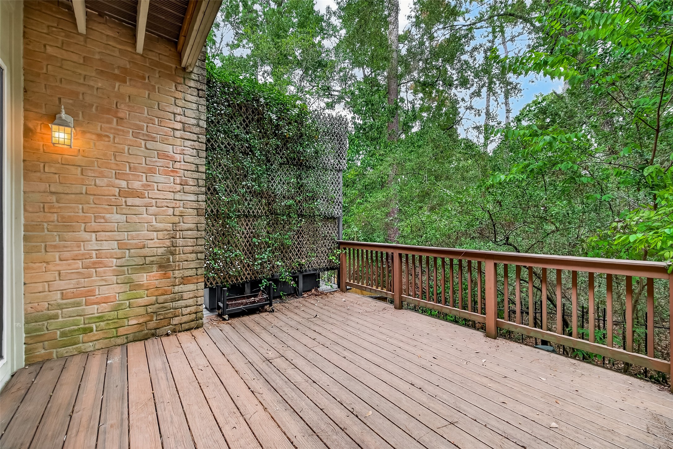 94 Sugarberry Circle Property Photo 49