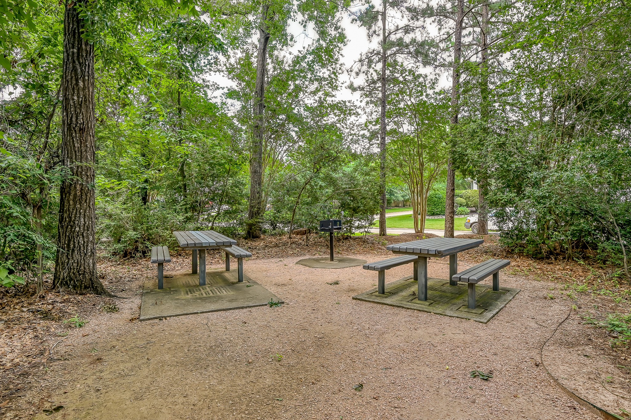 74 Tapestry Park Circle Property Photo 46