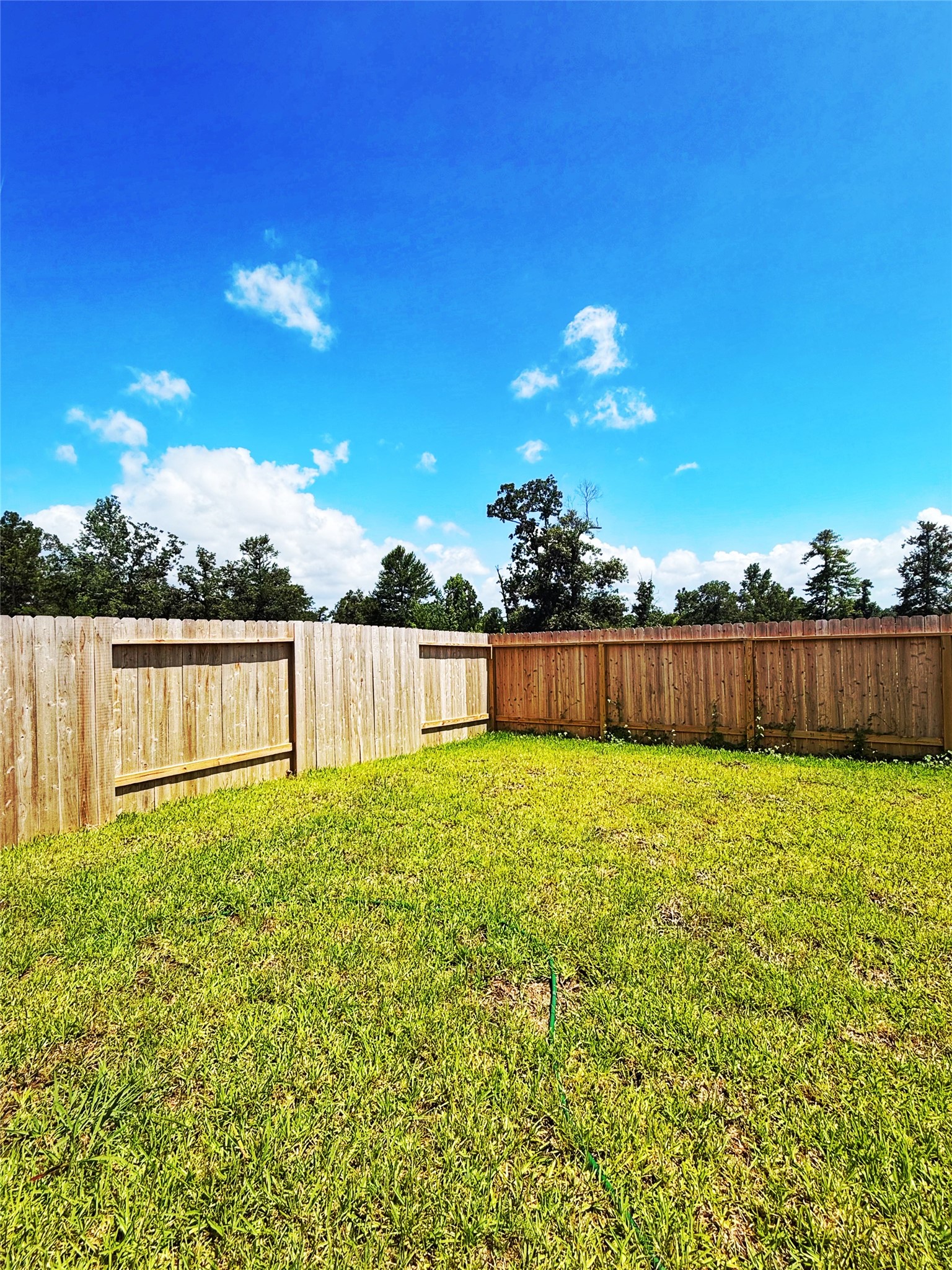 14704 S Ascot Bend Circle Property Photo 15
