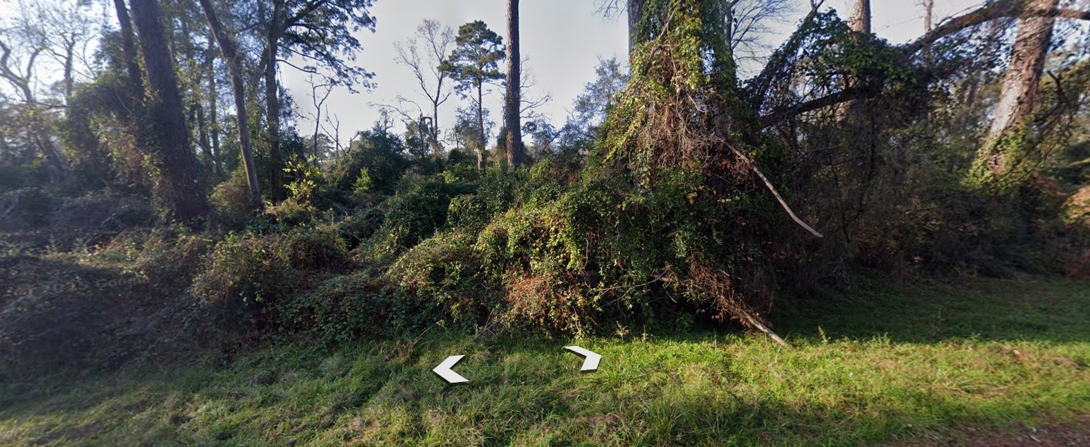 Lot 52 Overcup Drive Property Photo 6