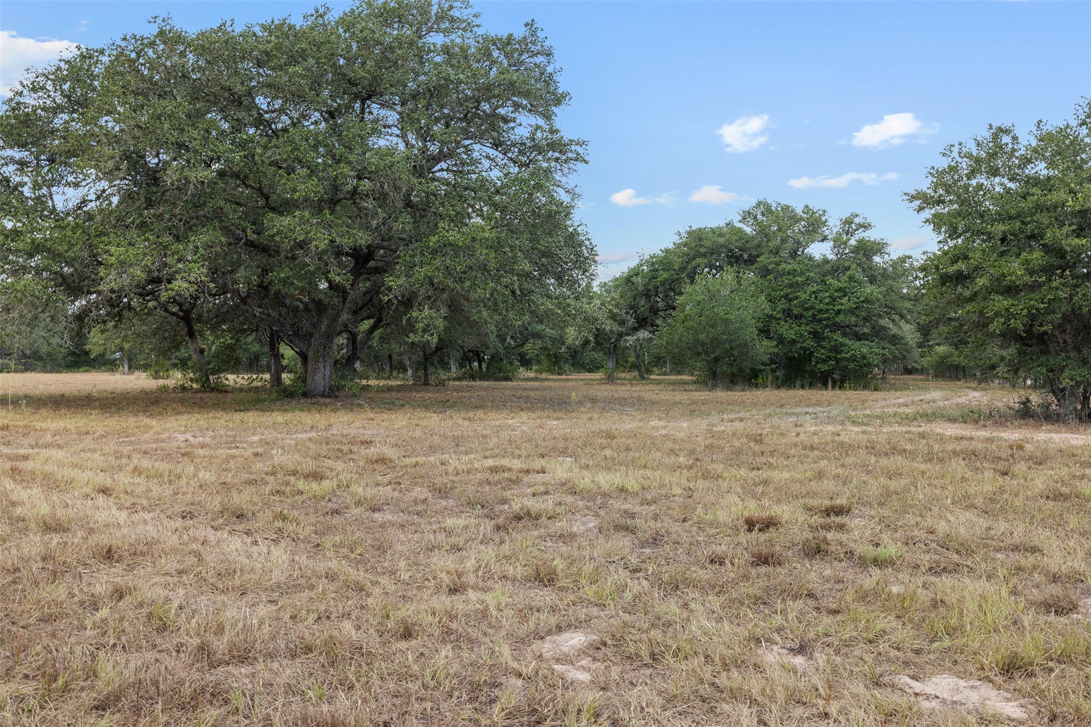 1800 County Road 122 Property Photo 23
