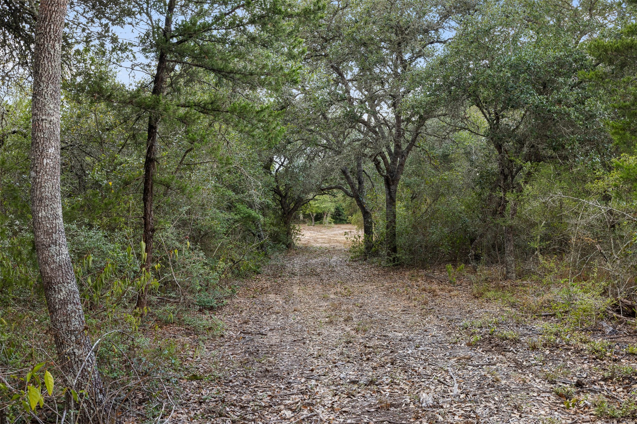 1800 County Road 122 Property Photo 25