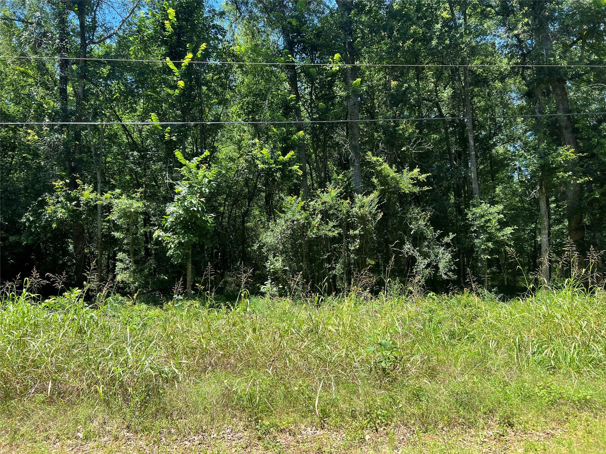 000 Holt Street, Coldspring TX 77331 Property Photo 1