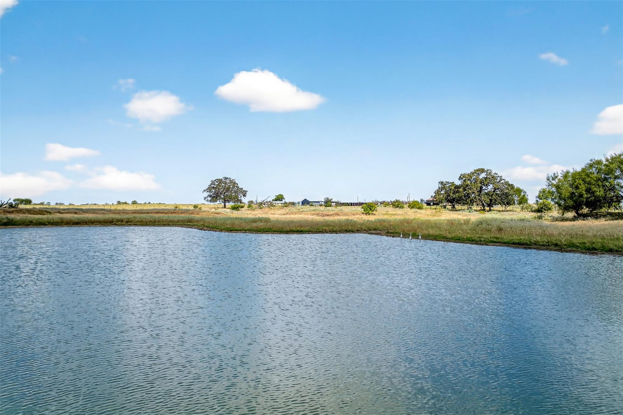 TBD Hwy 80, Leesville TX 78122