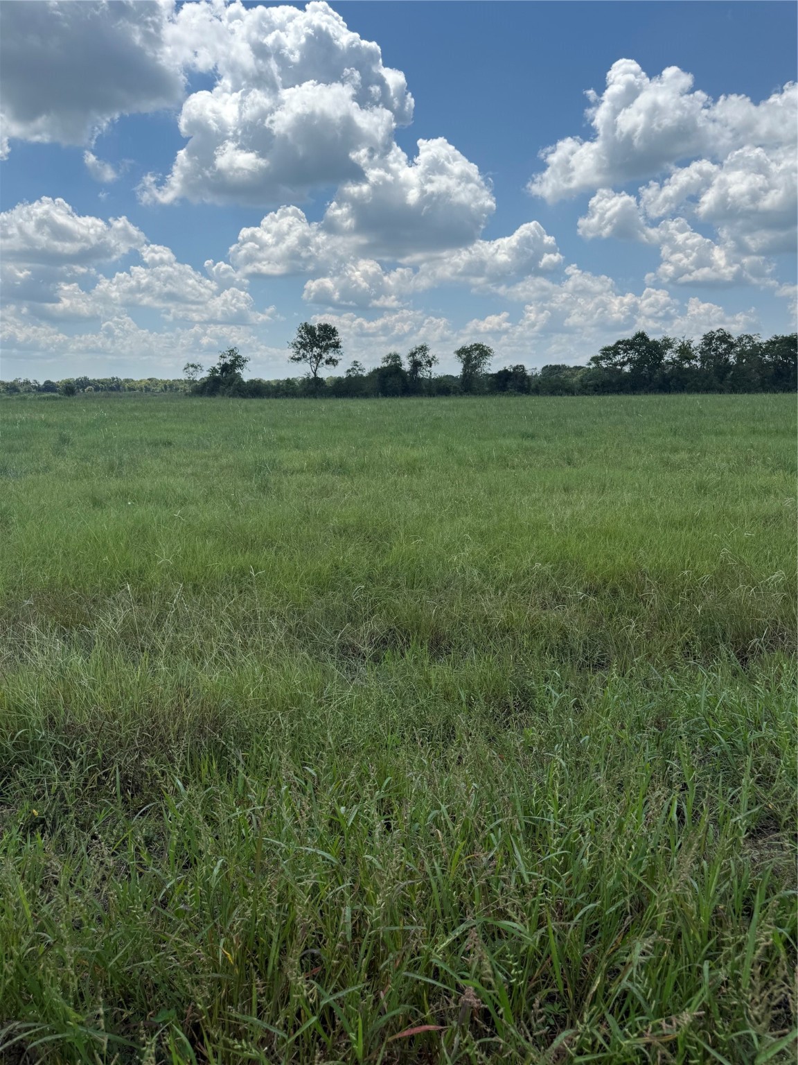 000 Apache Tr Trail Property Photo 3