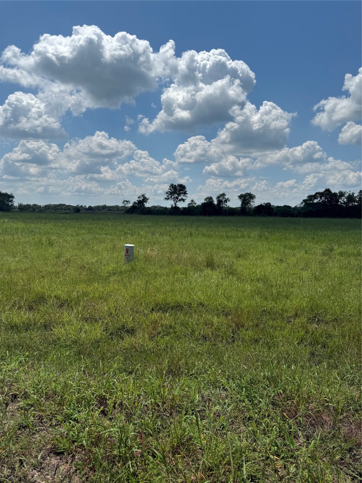 000 Apache Tr Trail Property Photo 5