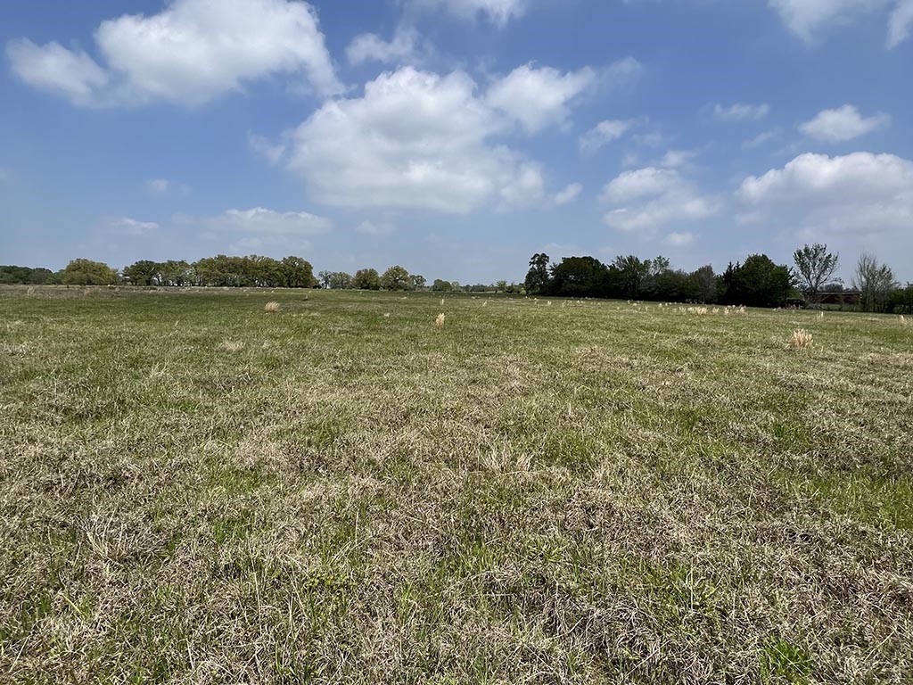 0080 County Road 415 Property Photo 3