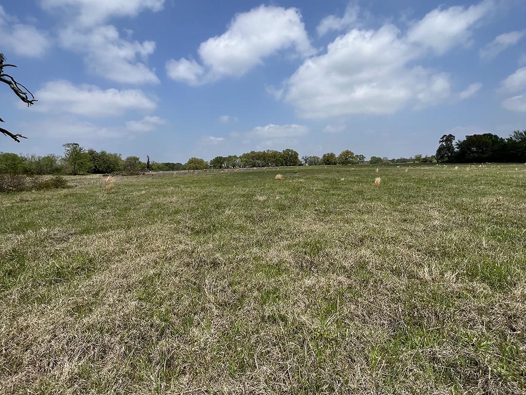 0080 County Road 415 Property Photo 9