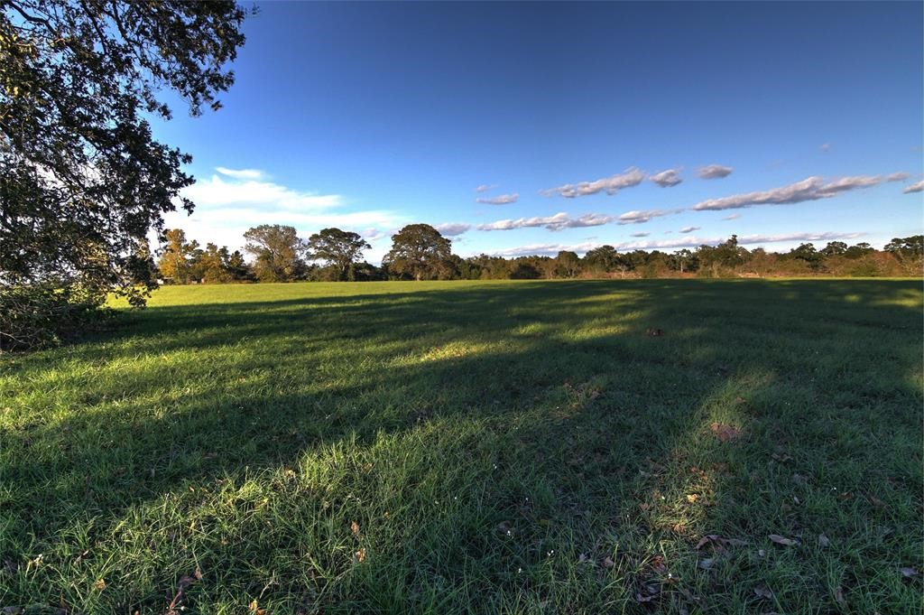 0080 County Road 415 Property Photo 14