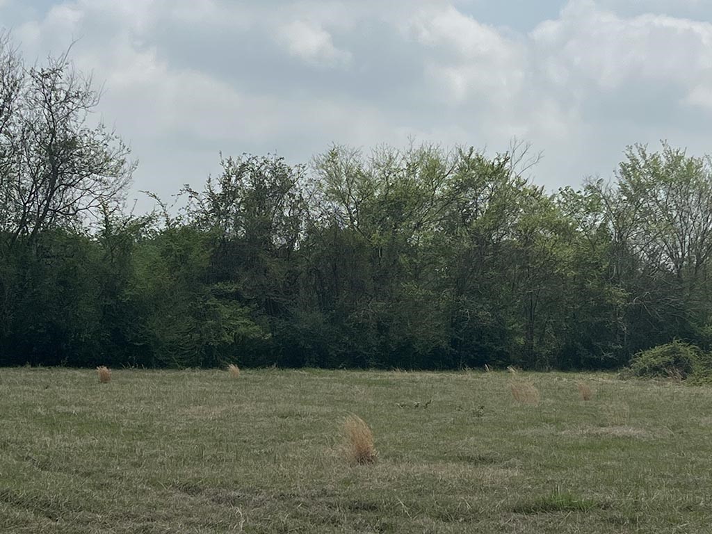 0080 County Road 415 Property Photo 20