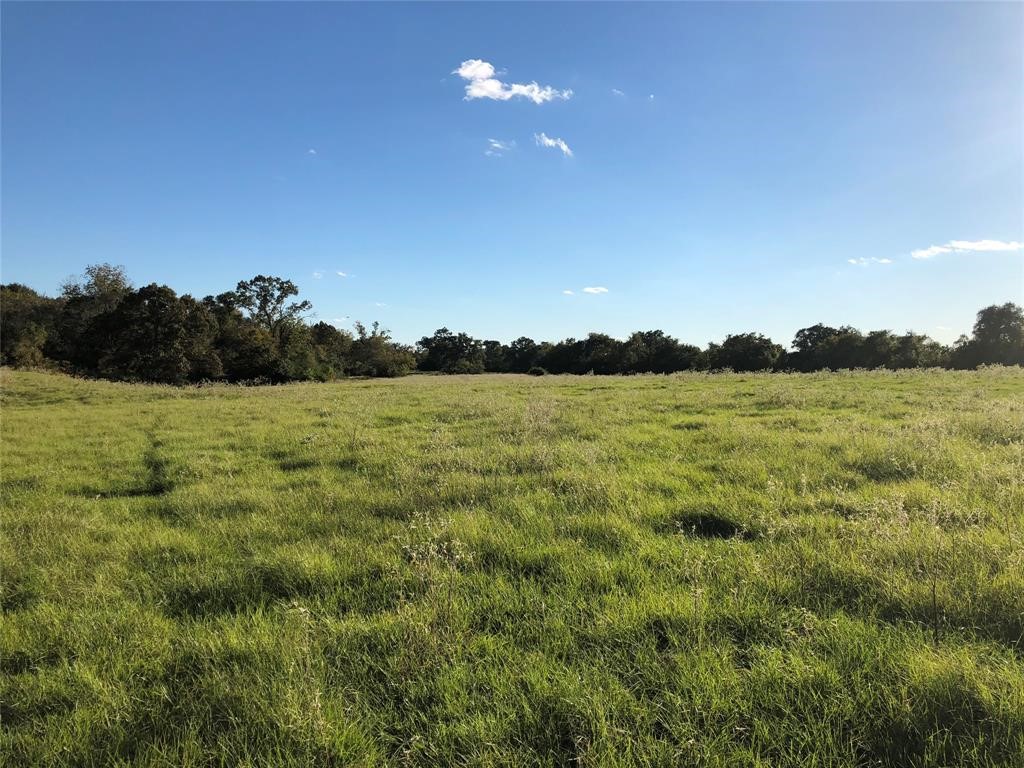 0080 County Road 415 Property Photo 21
