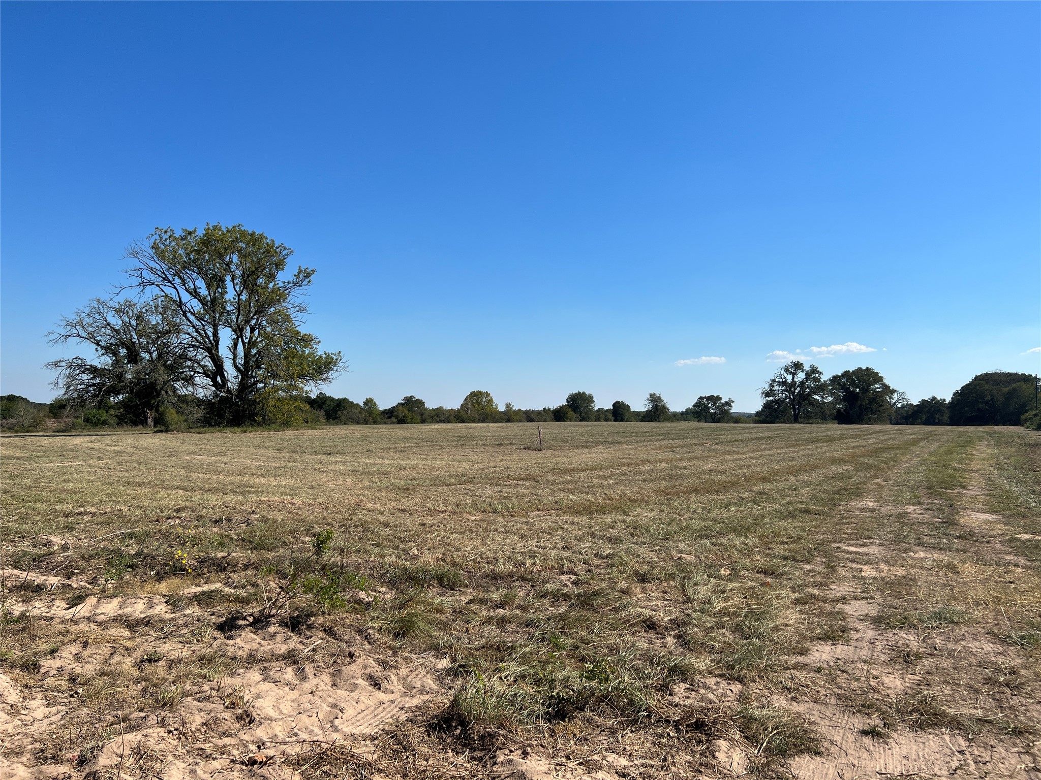 0080 County Road 415 Property Photo 24