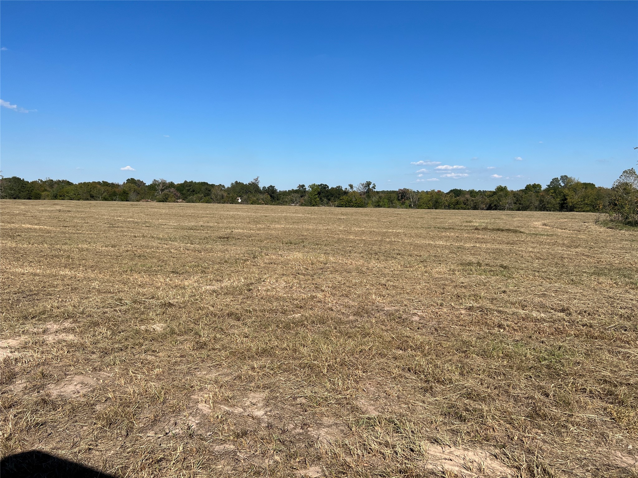 0080 County Road 415 Property Photo 25