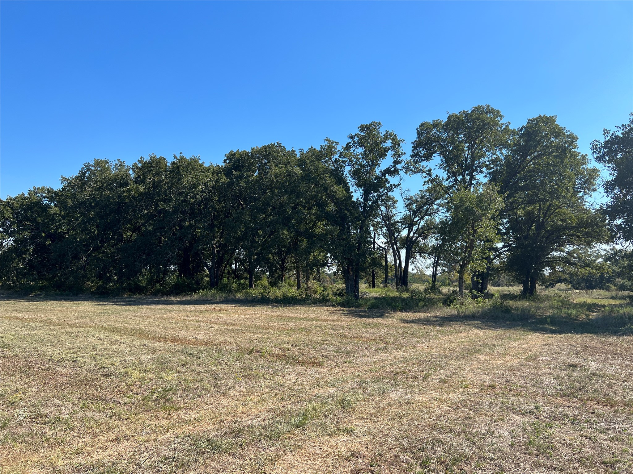 0080 County Road 415 Property Photo 27