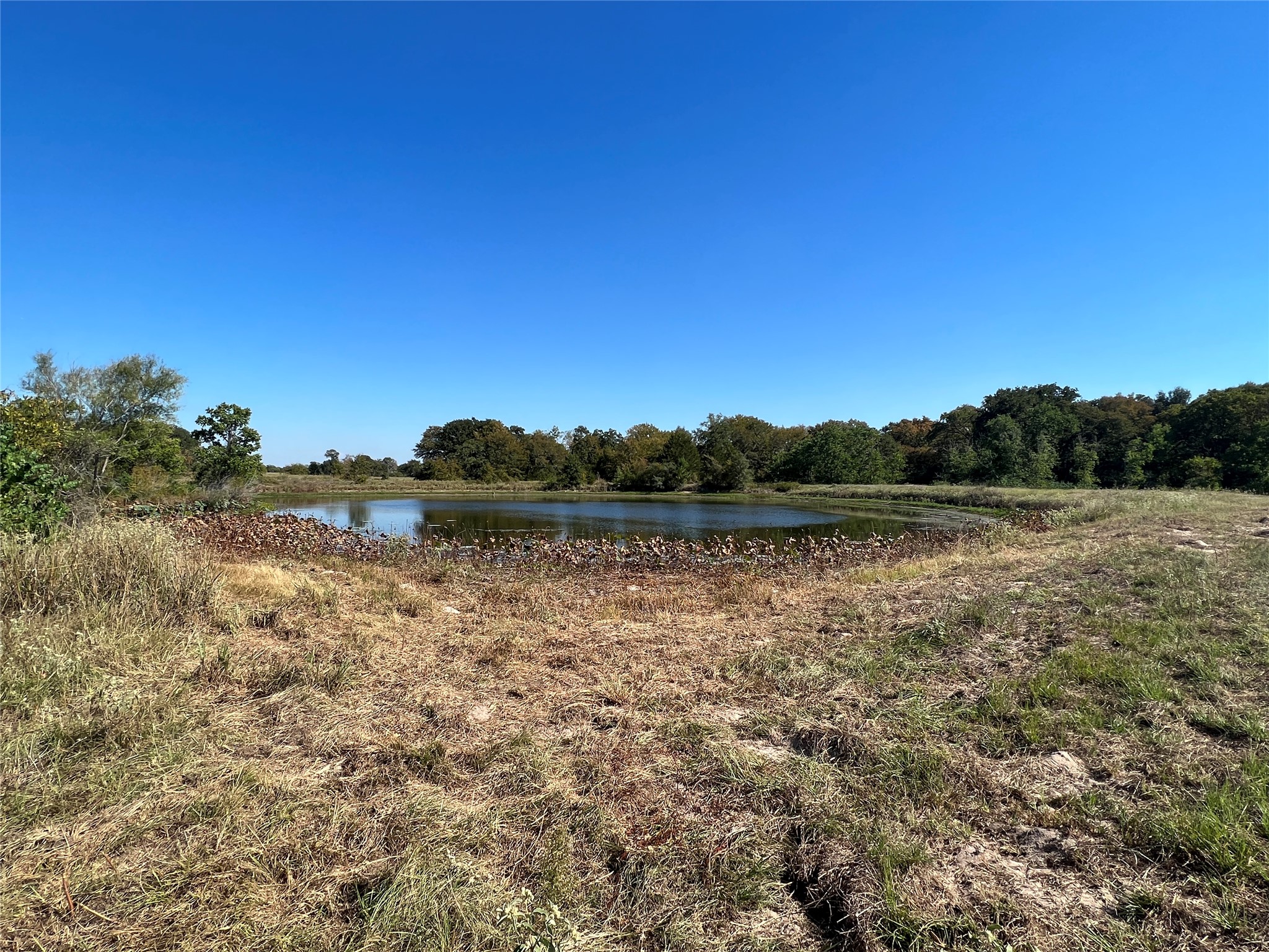 0080 County Road 415 Property Photo 28
