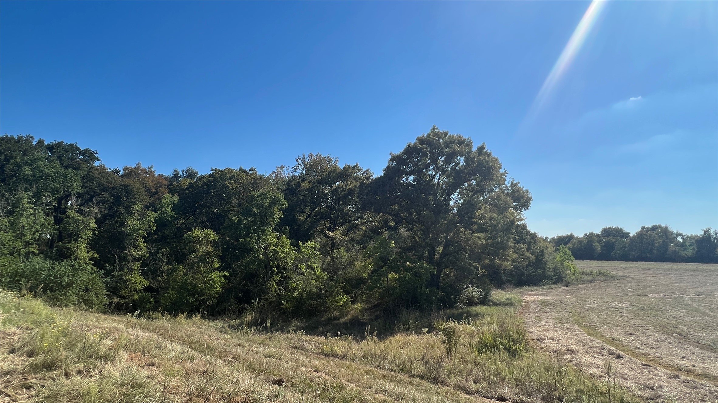 0080 County Road 415 Property Photo 29