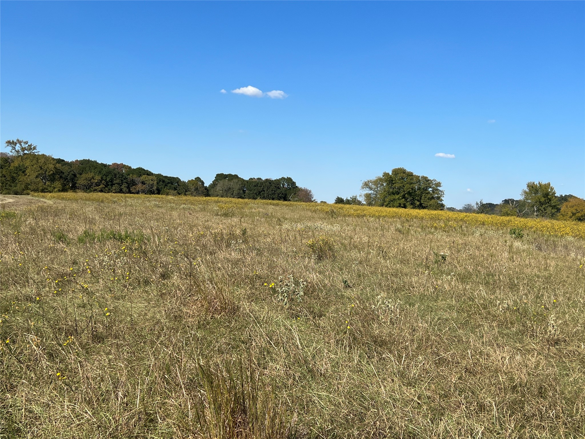 0080 County Road 415 Property Photo 33