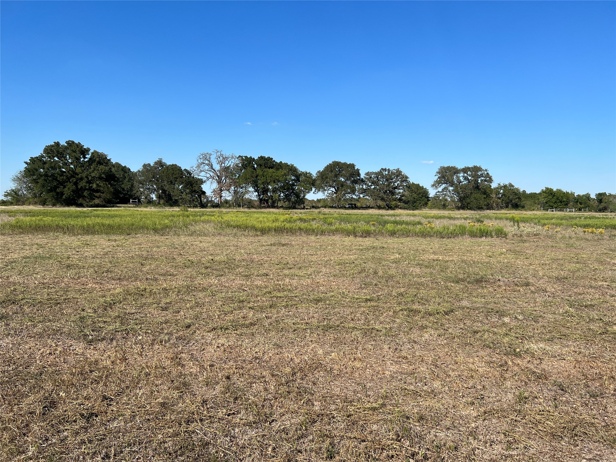 0080 County Road 415 Property Photo 34